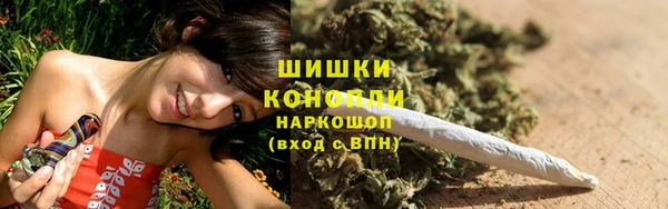 крисы Богородицк