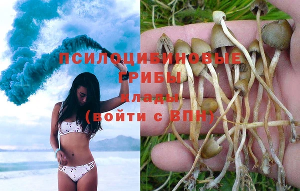 прущий лед Богданович