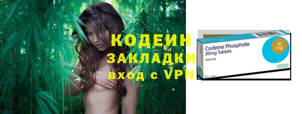 крисы Богородицк