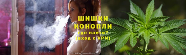 прущий лед Богданович