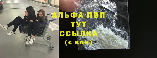 прущий лед Богданович
