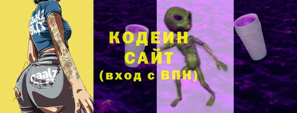 дживик Богородск