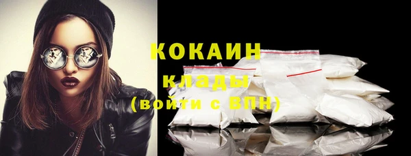 крисы Богородицк
