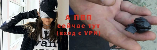 прущий лед Богданович