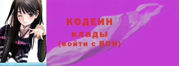 крисы Богородицк