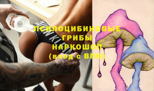 прущий лед Богданович