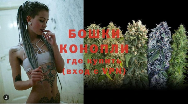 крисы Богородицк