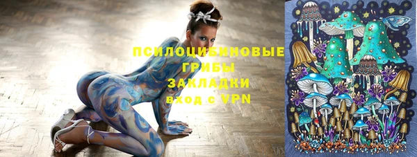 крисы Богородицк