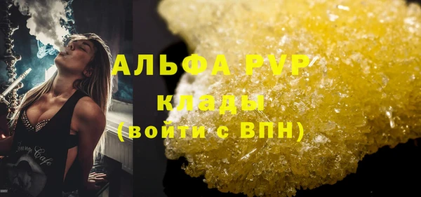 прущий лед Богданович