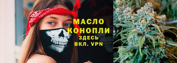 прущий лед Богданович