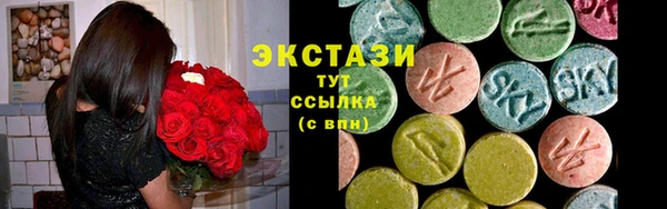 крисы Богородицк