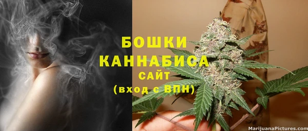 прущий лед Богданович