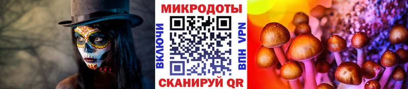 Псилоцибиновые грибы ЛСД Купить закладки Карабаш